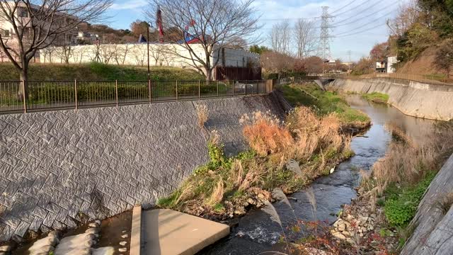 Misawa River in Sakahama, Inagi-shi