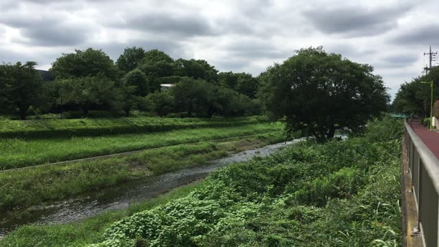 Nogawa River in Kitami, Setagaya-ku