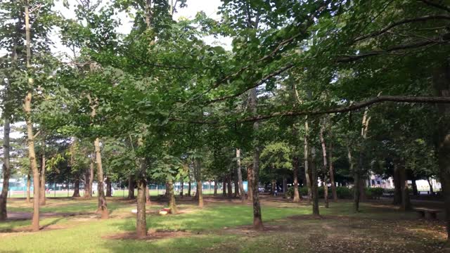 Ominami Park in Midorigaoka, Musashimurayama-shi