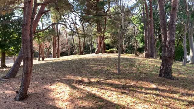 Nagayamakita Park in Tama-shi