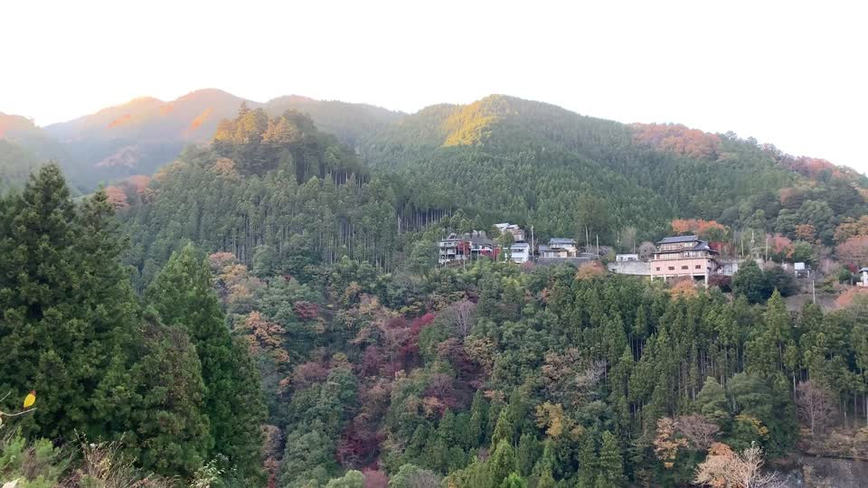 Hikawa in Okutama-machi