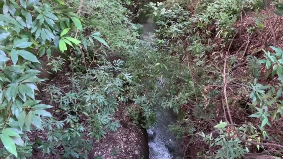 Tamagawa Aqueduct in Gotenyama, Musashino-shi