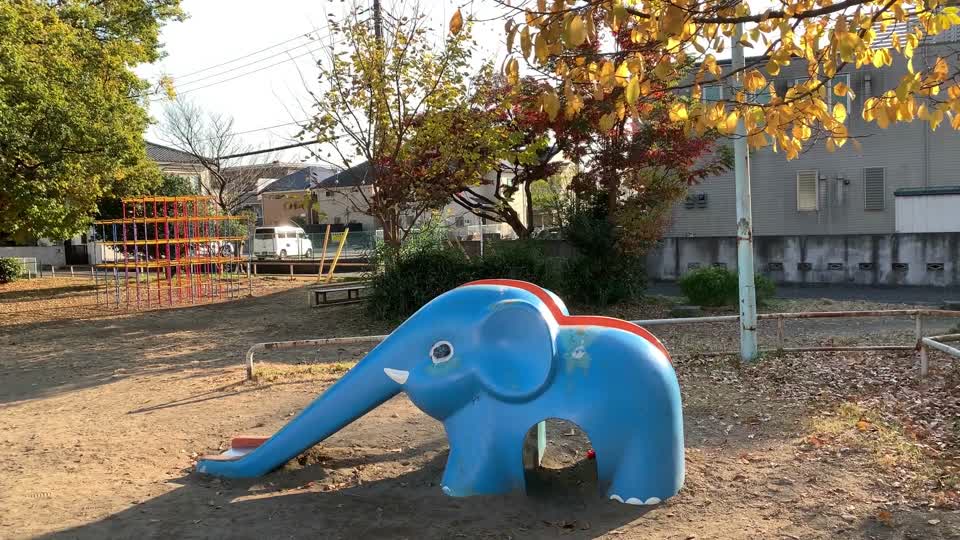 Tsubaki Park in Maesawa, Higashikurume-shi in November