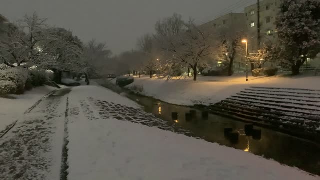Kurome River in Shimosato, Higashikurume-shi