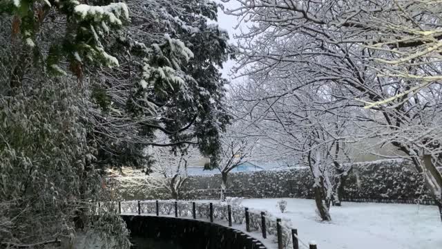 Kurome River in Shimosato, Higashikurume-shi