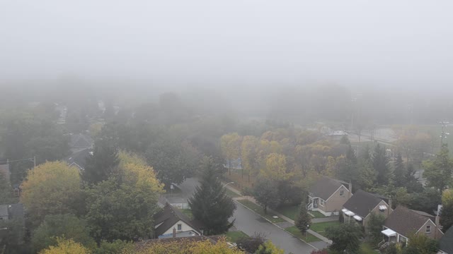 Fog