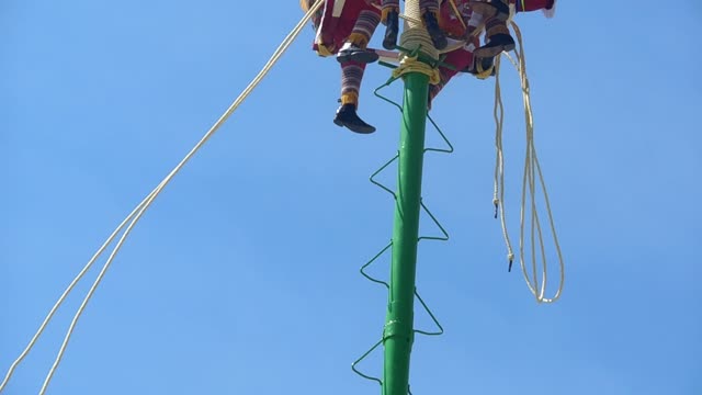 Palo Volador
