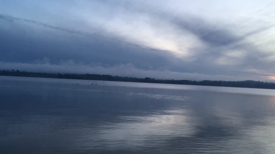 Swans, sunsets, seagulls, lake view