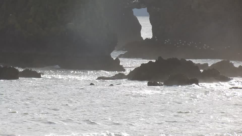 Waterford, August 2020