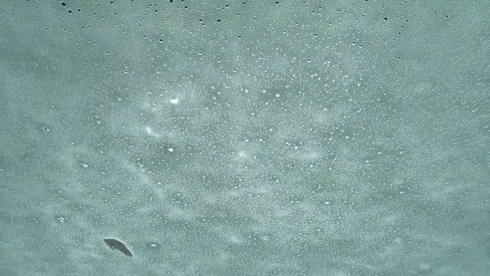 Project 365 #74: 150314 Car Wash