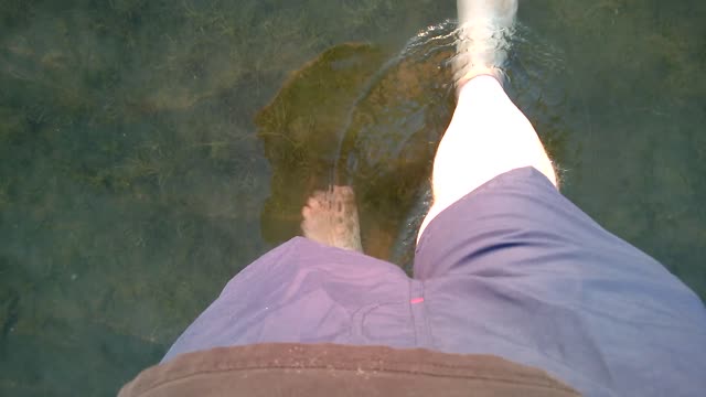 Splish Splash