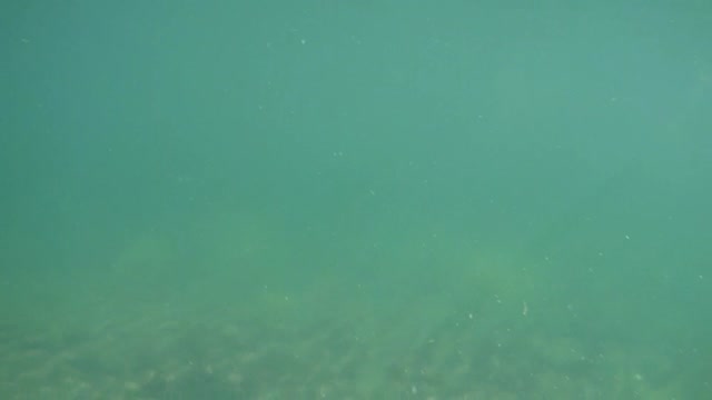 P8110014