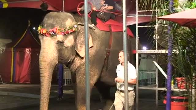 V21 Elephant Ride