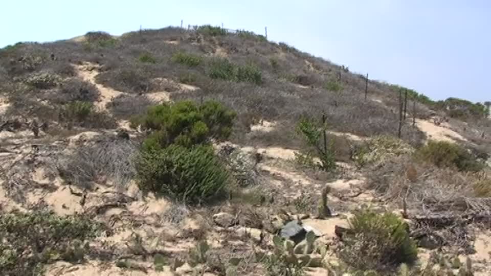 V08 Scenery @ Point Dume Overlook