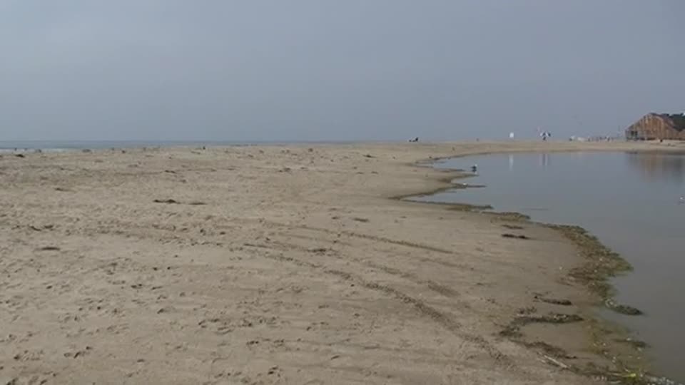 V02 Seabirds @ Malibu Lagoon