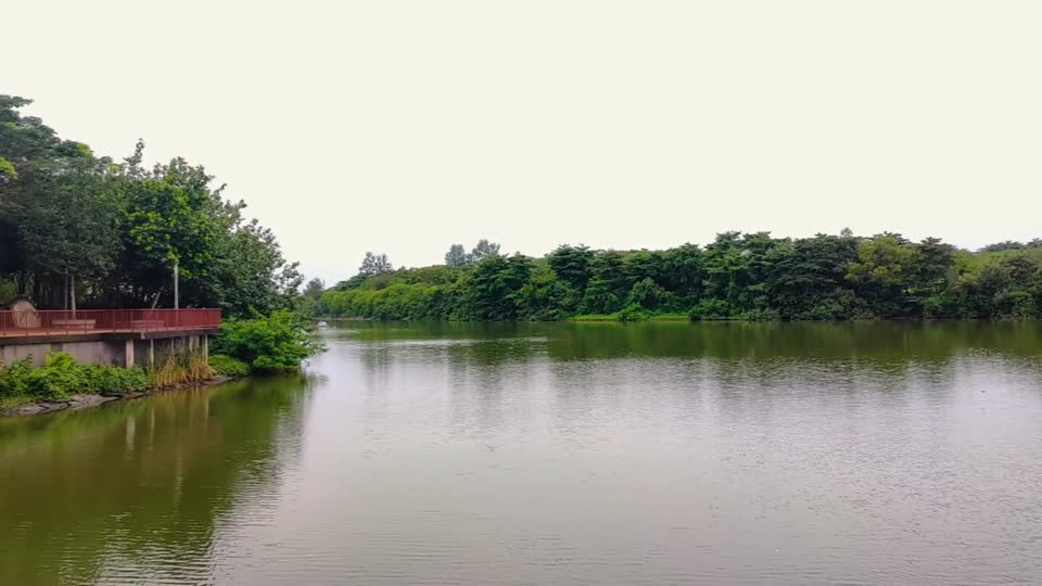 37 - Nature and Water