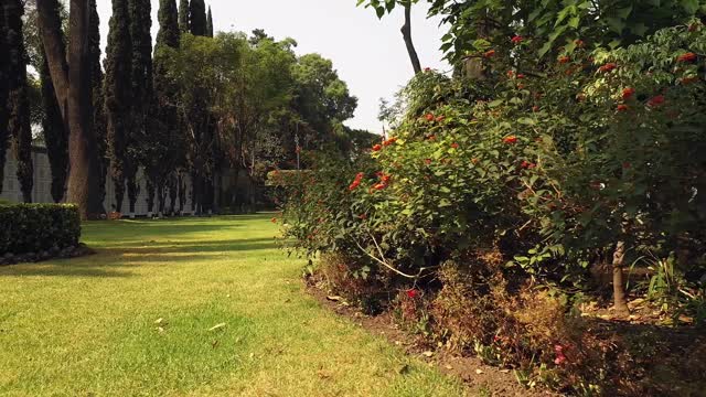 Mexico City National Cemetery