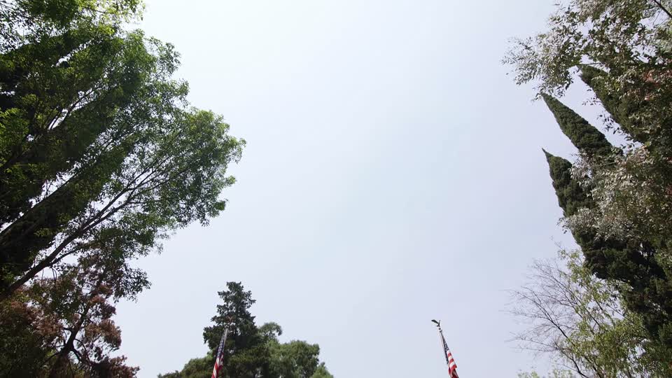 Mexico City National Cemetery
