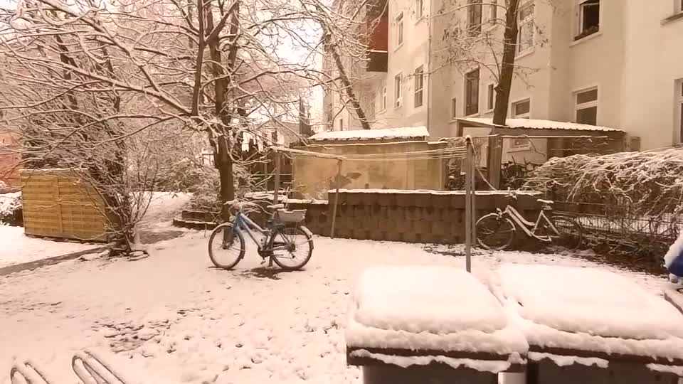 pandemic slow snow 01