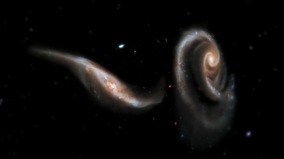 Win over your Valentine by proffering them this Galactic Rose