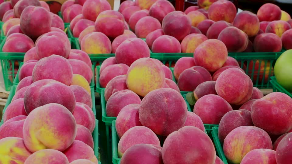 Farmers Market Fruit