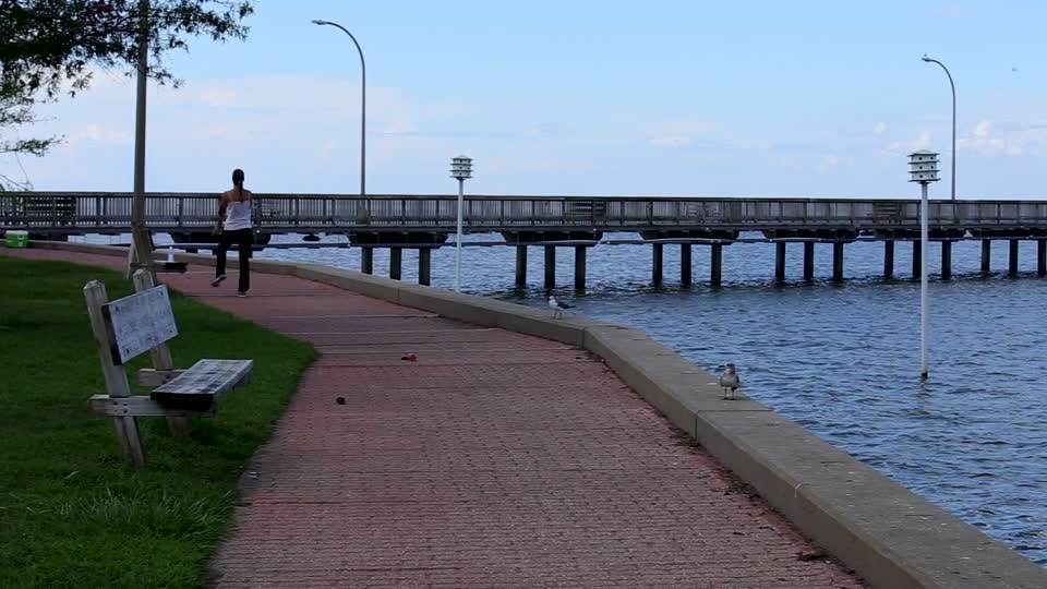 Mobile Bay Waters_two