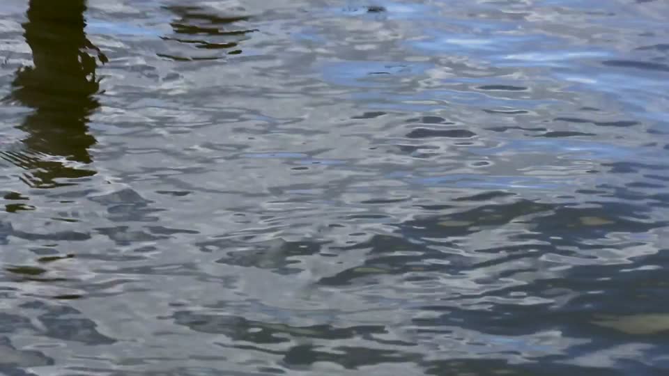 Mobile Bay Waters_one