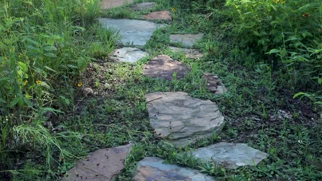 Wildflower Path Tilt