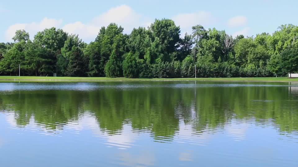 Lake at Jule Collins Smith Museum