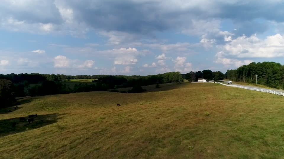 Pasture Overlook with Road