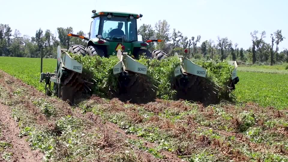 Peanut Harvest B-Roll_12s