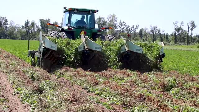 Peanut Harvest B-Roll_12s