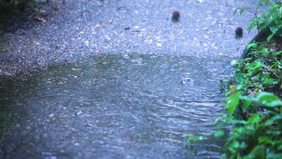 Rain Puddle BRoll_10s