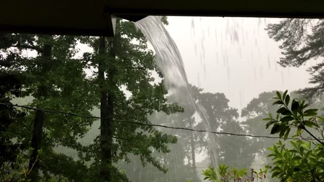 Stormy Weather_Rain in Yard_BRoll22s