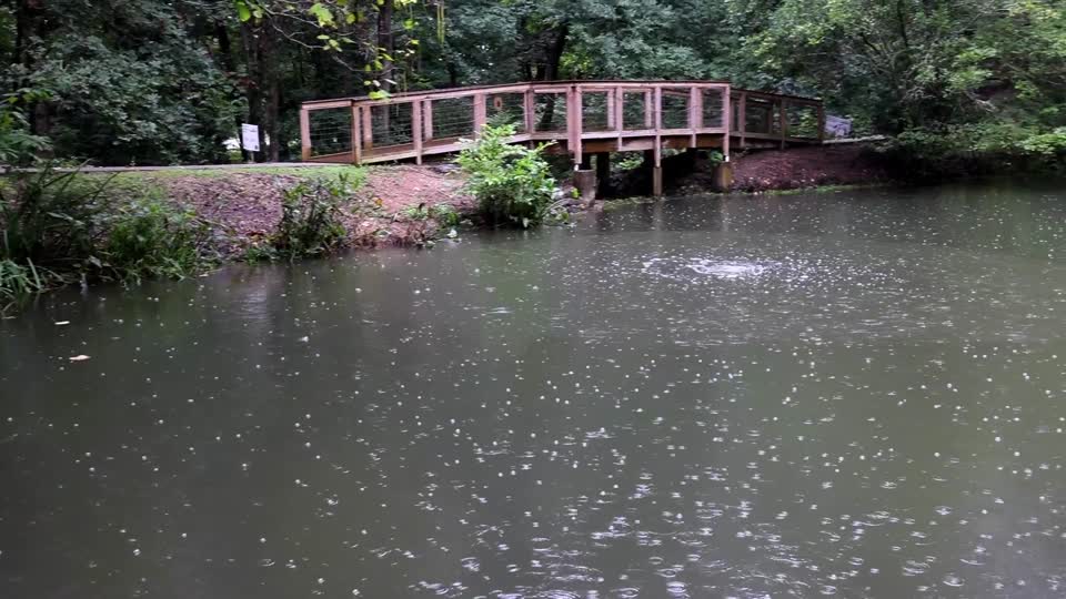 Rainfall on Pond_BRoll10s
