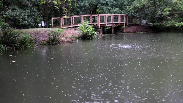 Rainfall on Pond_BRoll10s