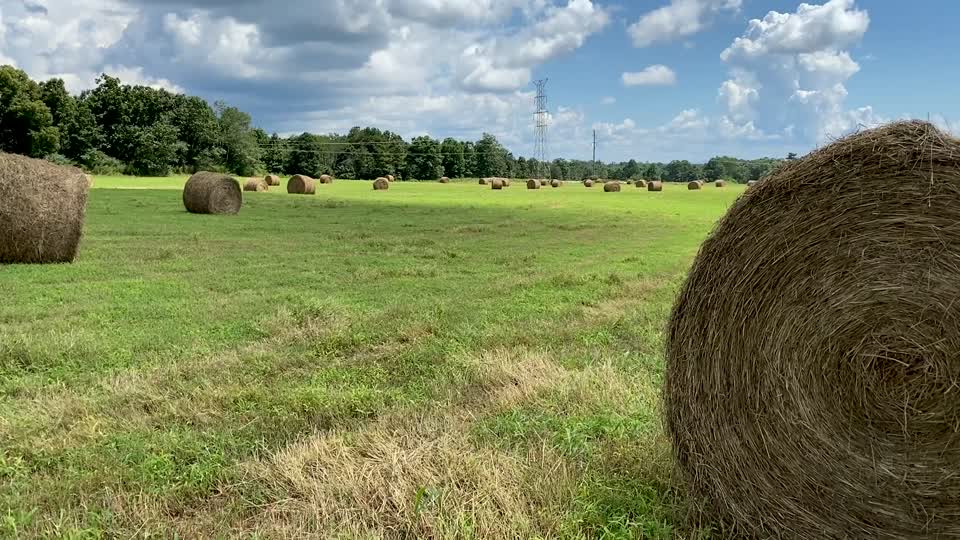 Round Hay Bales_BRoll11s