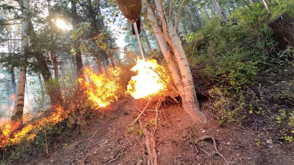Fuels Management, Terra Torch
