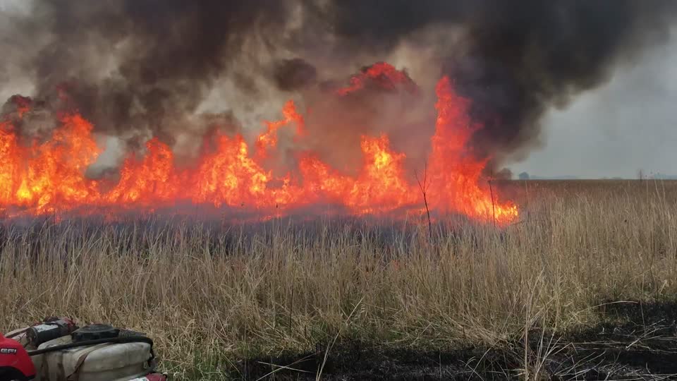 2021 USFWS Fire Employee Photo Contest Category: Video