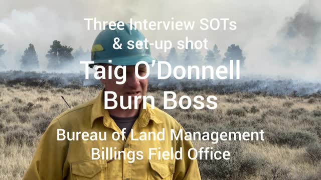 odonnelll-interview---3-sots-and-set-up-shot_49802644368