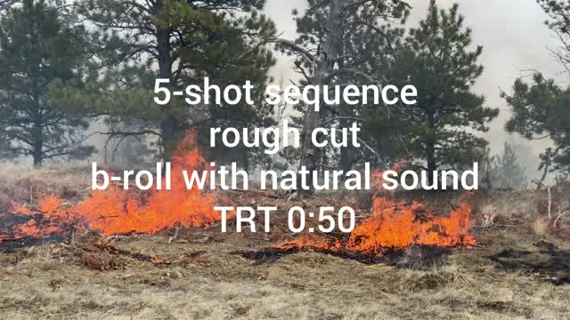 burning-grass-and-trees---5-shot-sequence_49802810636
