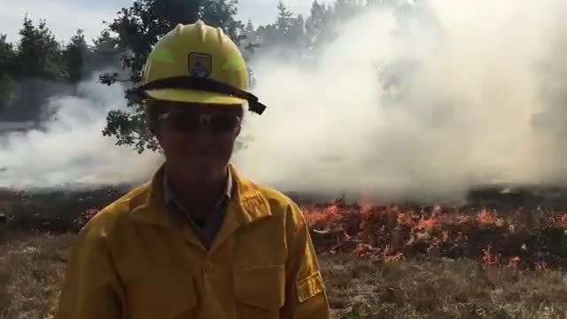 Prescribed Burn Helps Wildlife