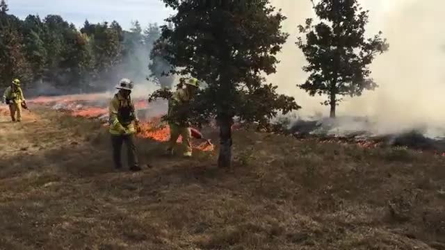 firefighters-use-a-drip-torch_29386518343