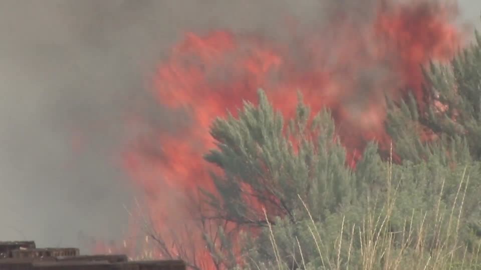 Flames in Sagebrush