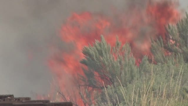 Flames in Sagebrush