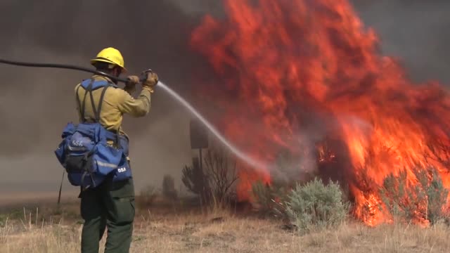 Flames in Sagebrush