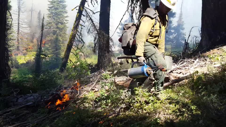 Pioneer Fire, Boise National Forest