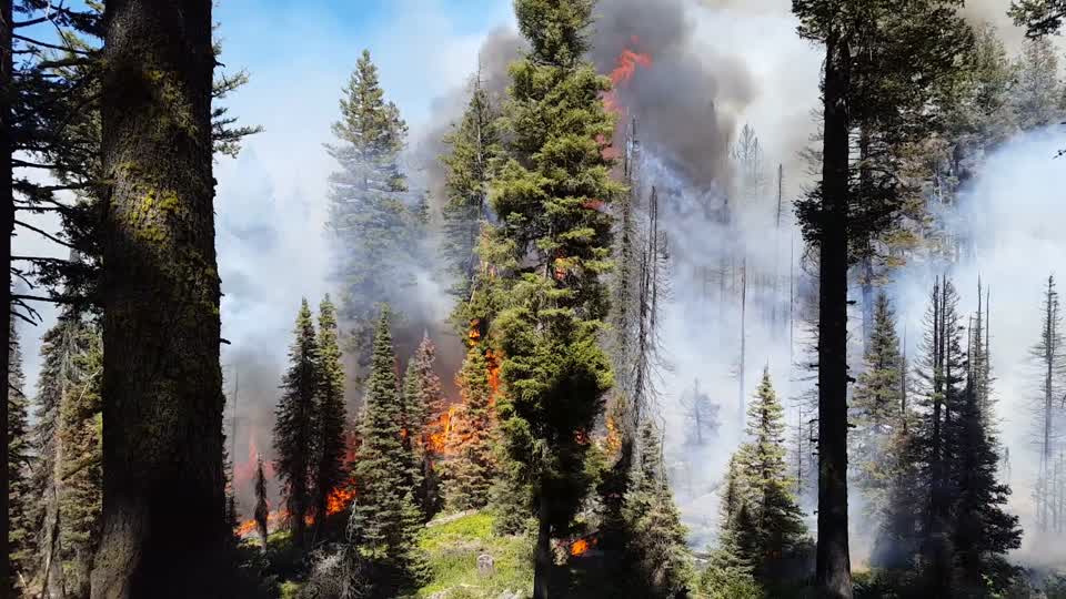Pioneer Fire, Boise National Forest