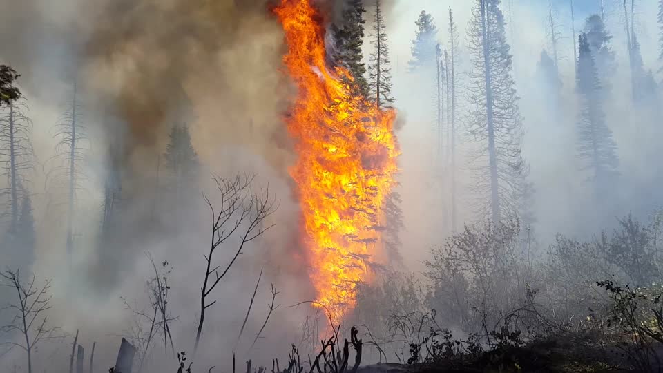 Pioneer Fire, Boise National Forest