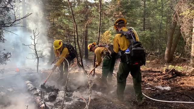 Prescribed Fire